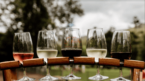 Gold Coast: Private Winery Tour in a New Luxury Vehicle