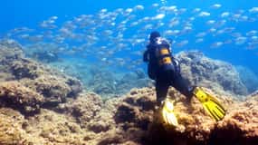 Rhodes: Diving Adventure for Beginners and Experts