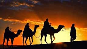 Tangier: Day Trip from Tarifa with camel ride &lunch