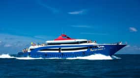 Phuket: Transfer from Airport and Ferry to Phi Phi Island