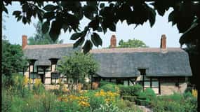 Från Brighton: Stratford-upon-Avon och Cotswolds dagstur