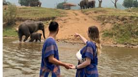 Chiangmai : Take care elephants+poopaper, sticky waterfalls