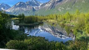 From Anchorage: Valley and Forest Hike with Naturalist Guide