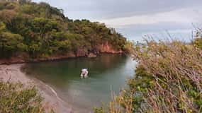 From Jaco: Bioluminiscence Boat Tour with BBQ & Drinks