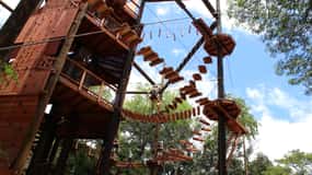 Oahu: Coral Crater Aerial Challenge Course