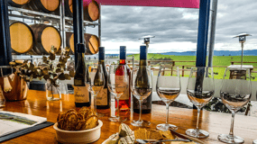 Melbourne: Visita ao vinho, gin, queijo e chocolate de Yarra Valley