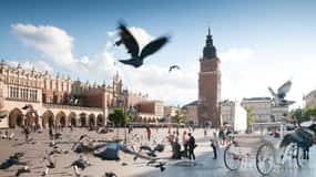 Krakow: Old Town Private Guided Walking Tour