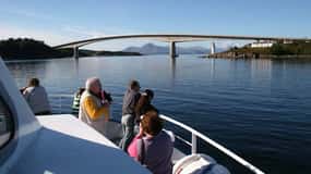 Scottish Highlands: Isle of Skye Glass-Bottom Boat Tour