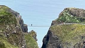 De Belfast: Excursão costeira privada a Giants Causeway