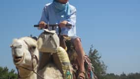 Essaouira: Geführte Dromedar-Reittour