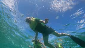 Oranjestad: Mangel Halto and Baby Beach Snorkeling Tour