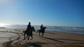 Von Essaouira aus: Reiten in Diabat mit Transfer