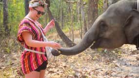 Chiang Mai: Elephant Feeding Experience