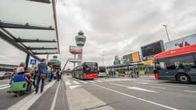 Direct Schiphol bus transfer to Haarlem City Center (return)