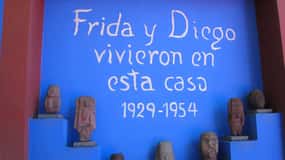 Ciudad de México: Ticket de entrada al Museo Frida Kahlo y Anahuacalli
