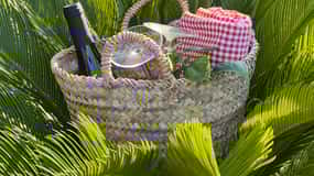 Agrigento: Valley of the Temples Gardens Picnic Experience