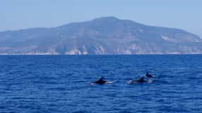 Da Porto Ercole: gita in barca per lo snorkeling all'isola di Giannutri