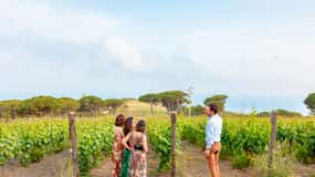 Tuscany: Ripalte Design Winery Wine and Cheese Tasting Tour