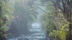 4-in-1 Arenal Volcano Hike, Bridges, Waterfall & Hot Springs