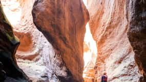 Tenerife: Los Arcos Canyoning Tour with Guide
