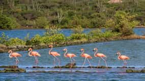 Willemstad: De adem van Curaçao