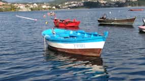From Santiago de Compostela: Rias Baixas Tour
