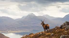 Inverness - en dagstur Applecross, Loch Carron & Wild Highlands dagstur