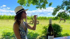 Aquileia: Winery Tour and Tasting
