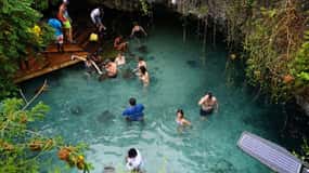 Jozani forest, Butterfly center, sea turtles & Mtende beach