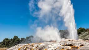 From Auckland: One-Way Transfer to Rotorua w/ Hobbiton Tour