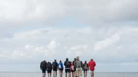 Pieterburen: Wadwandeltour met gids
