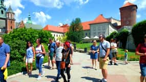 Cracovie : Visite guidée du château de Wawel avec billets d'entrée