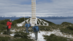 Desde Punta Arenas: Navegación Cabo Froward + Senderismo
