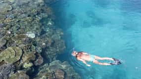 Fidji : Excursion d'une demi-journée dans les îles de la mer du Sud avec déjeuner