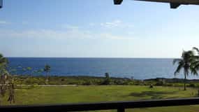 From George Town: Grand Cayman Guided Tour with Botanic Park