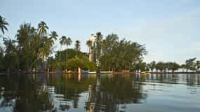 From Papeete: Tahiti Highlights Full-Day Private Tour