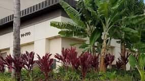 Oahu: Waikele Premium Outlets Roundtrip Bus From Waikiki