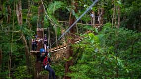 Port Douglas: Daintree National Park Tour, Cruise, & Zipline