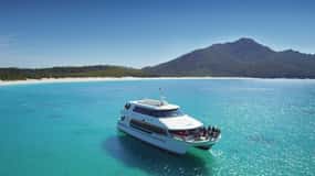 Coles Bay : Croisière pour adultes dans la baie de Wineglass avec déjeuner