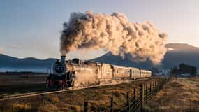 From Cape Town: Steam Train Ticket to Elgin Railway Market