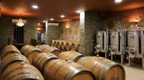 Lagoa: Guided Winery Tour and Local Wine Tasting