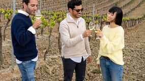 From Lisbon: Sintra with Pena Palace, Winery tour & Tasting