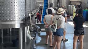 Albufeira: Algarve Coast Guided Tour with Wine Tasting