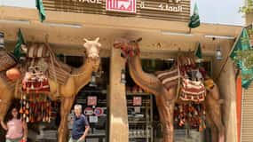 Riyadh City Tour VIP Experience