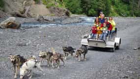 Seward: Summer Dog Sled Ride and Seavey Estate Tour