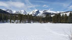 From Denver: Rocky Mountain National Park Winter/Spring Tour