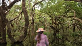 Siem Reap: Lago Tonle Sap - Aldeia piscatória e floresta inundada