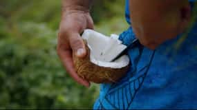 Half day Private tour of Moorea - Albert Tours Pick up hotel
