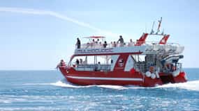 Gran Canaria: Dolphin and Whale Watching Cruise