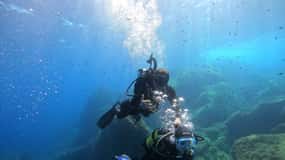 Villasimius: Immersioni a Capo Carbona senza certificato